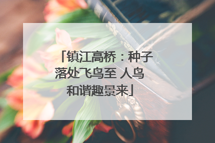 镇江高桥：种子落处飞鸟至 人鸟和谐趣景来